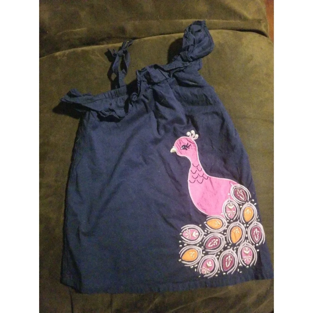 Gymboree spice‎ market dress 12 18 months